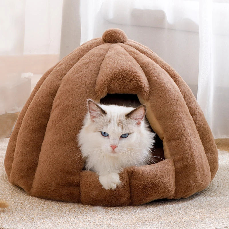 Pumpkin cat bed best sale